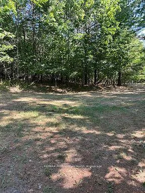 Photo 7 of 2875 County Road 21, Minden Hills, Minden — HOMEH