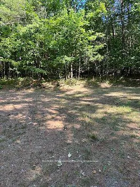 Photo 8 of 2875 County Road 21, Minden Hills, Minden — HOMEH