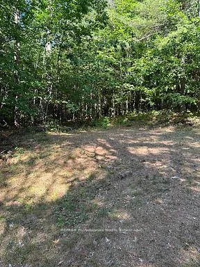 Photo 9 of 2875 County Road 21, Minden Hills, Minden — HOMEH