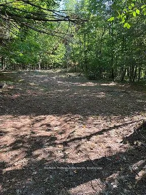 Photo 10 of 2875 County Road 21, Minden Hills, Minden — HOMEH
