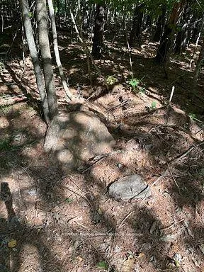 Photo 11 of 2875 County Road 21, Minden Hills, Minden — HOMEH