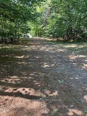 Photo 16 of 2875 County Road 21, Minden Hills, Minden — HOMEH