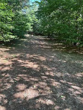 Photo 18 of 2875 County Road 21, Minden Hills, Minden — HOMEH