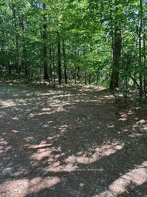 Photo 19 of 2875 County Road 21, Minden Hills, Minden — HOMEH