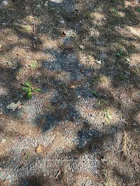 Photo 20 of 2875 County Road 21, Minden Hills, Minden — HOMEH