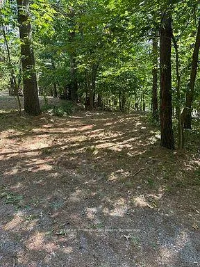 Photo 21 of 2875 County Road 21, Minden Hills, Minden — HOMEH