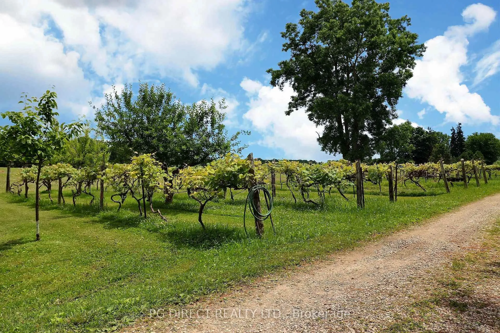 Photo 23 of 26820 Marsh Line, Dutton/Dunwich, Rural Dutton/Dunwich — HOMEH