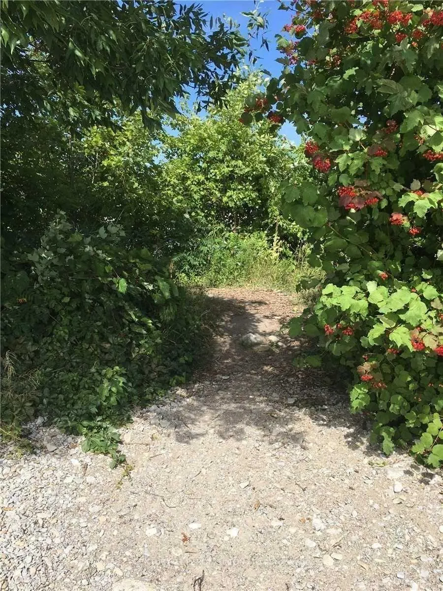 Photo 11 of 81 Bayshore Drive, Ramara, Brechin — HOMEH
