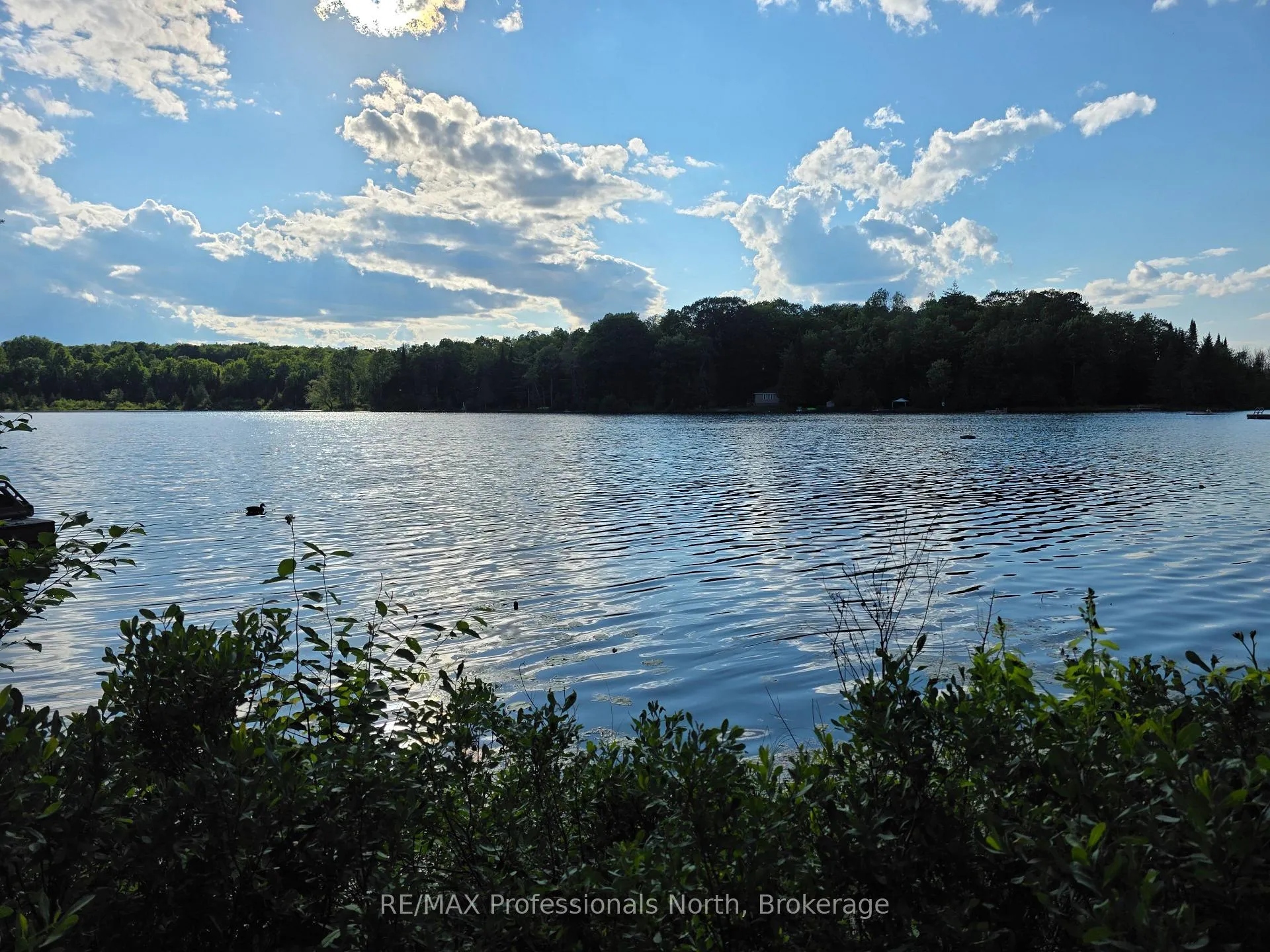 Photo 7 of 1131 Sharon Lake Drive, Minden Hills, Minden — HOMEH