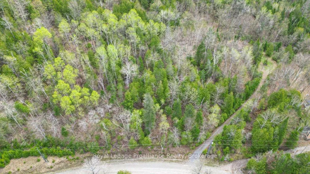 Photo 20 of 2611 River Road, North Frontenac, Frontenac North — HOMEH