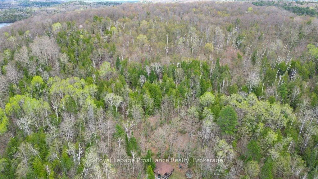 Photo 24 of 2611 River Road, North Frontenac, Frontenac North — HOMEH