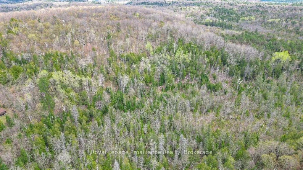 Photo 25 of 2611 River Road, North Frontenac, Frontenac North — HOMEH