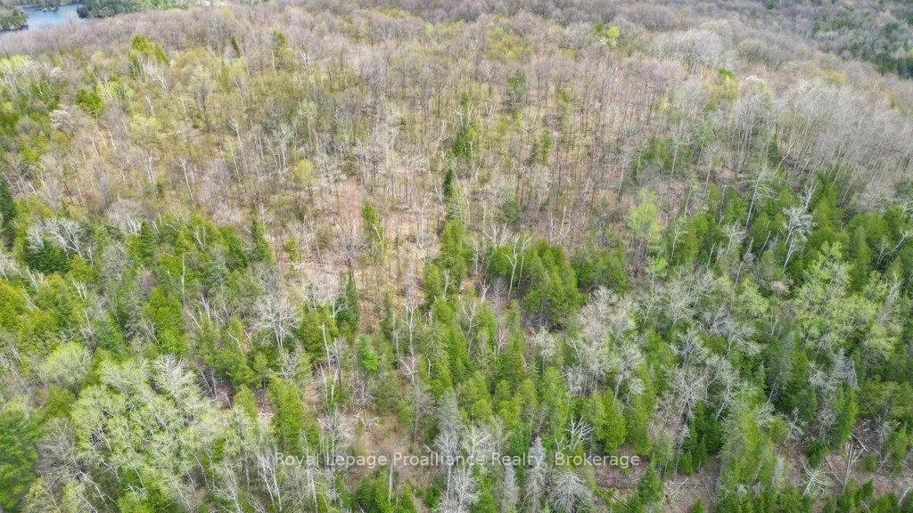 Photo 26 of 2611 River Road, North Frontenac, Frontenac North — HOMEH