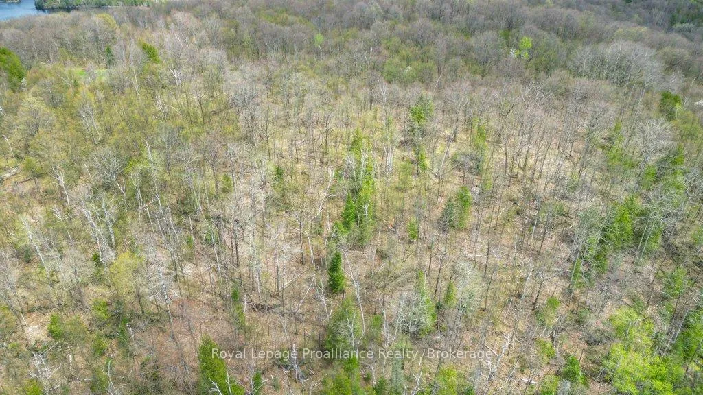 Photo 27 of 2611 River Road, North Frontenac, Frontenac North — HOMEH