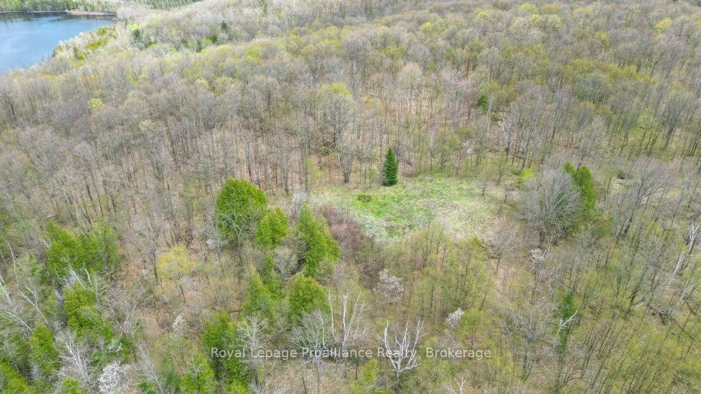 Photo 30 of 2611 River Road, North Frontenac, Frontenac North — HOMEH