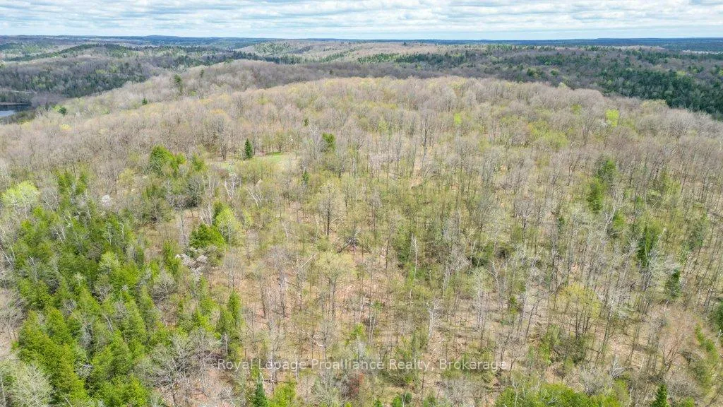 Photo 31 of 2611 River Road, North Frontenac, Frontenac North — HOMEH
