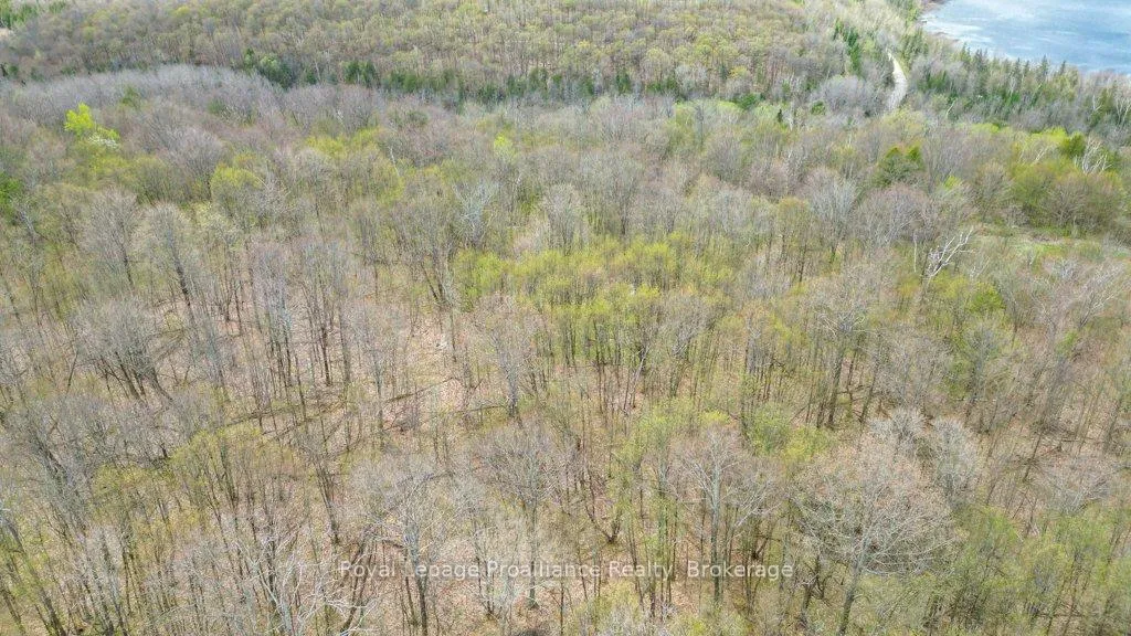Photo 32 of 2611 River Road, North Frontenac, Frontenac North — HOMEH