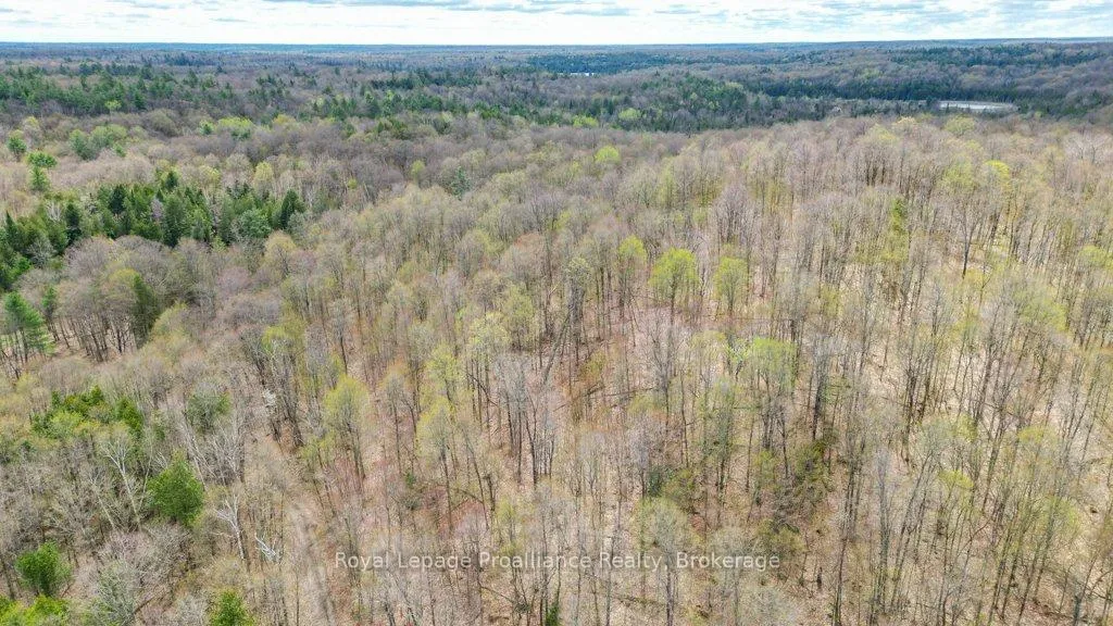 Photo 33 of 2611 River Road, North Frontenac, Frontenac North — HOMEH