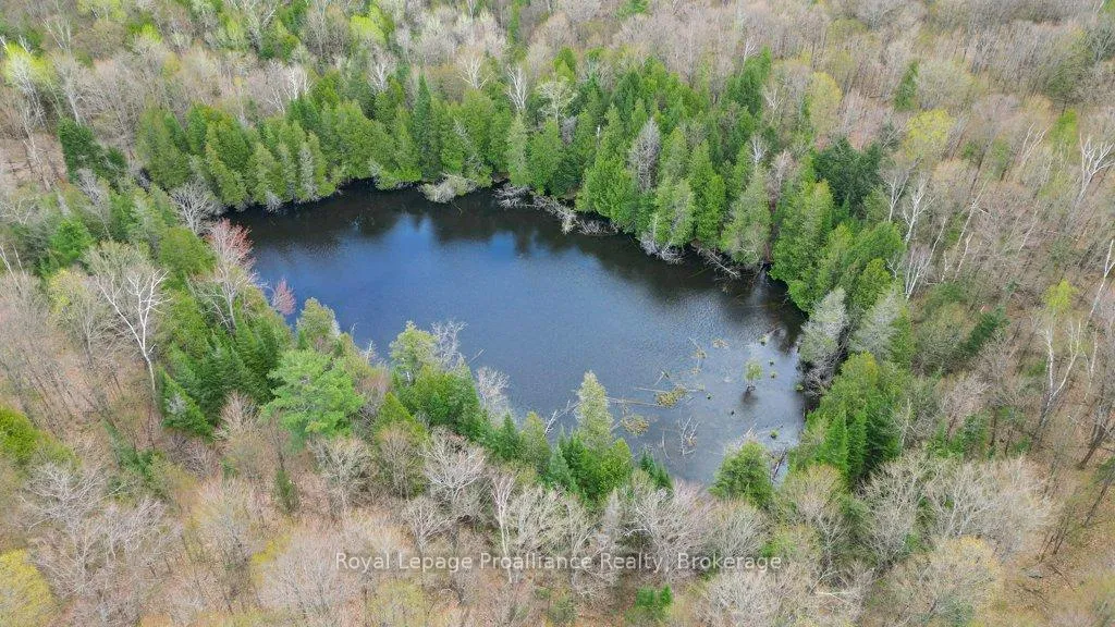 Photo 34 of 2611 River Road, North Frontenac, Frontenac North — HOMEH