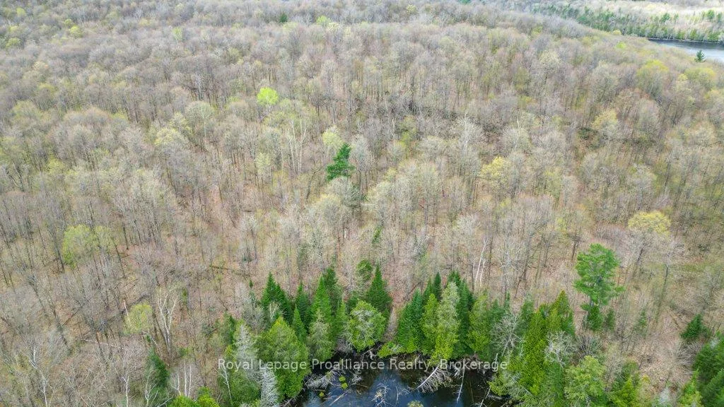 Photo 35 of 2611 River Road, North Frontenac, Frontenac North — HOMEH