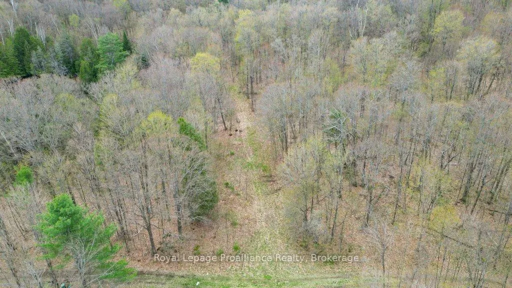 Photo 36 of 2611 River Road, North Frontenac, Frontenac North — HOMEH