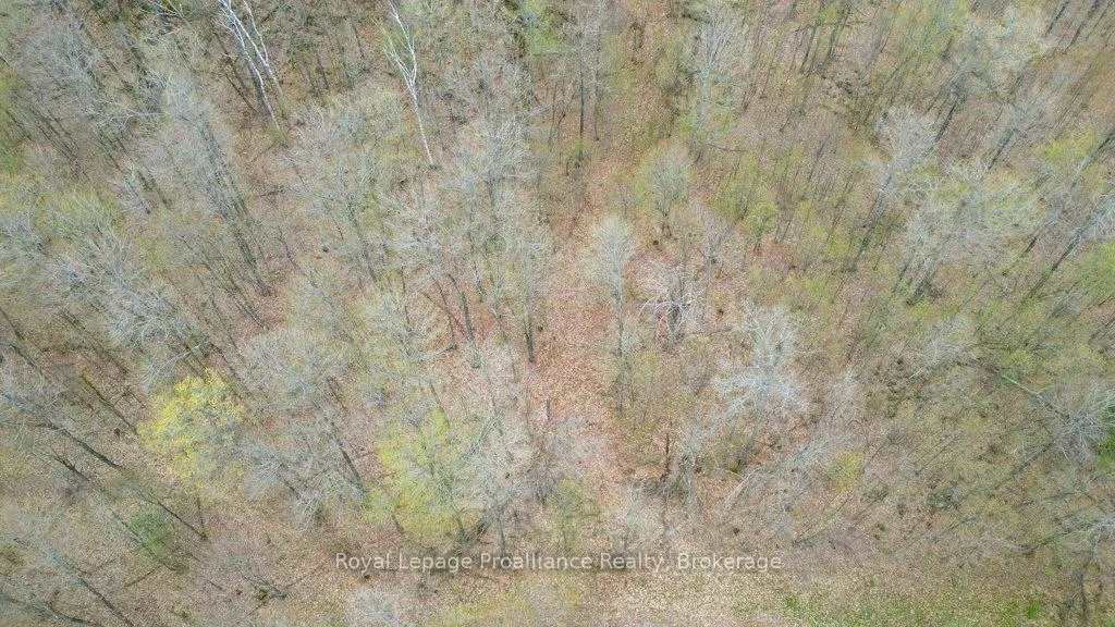 Photo 37 of 2611 River Road, North Frontenac, Frontenac North — HOMEH
