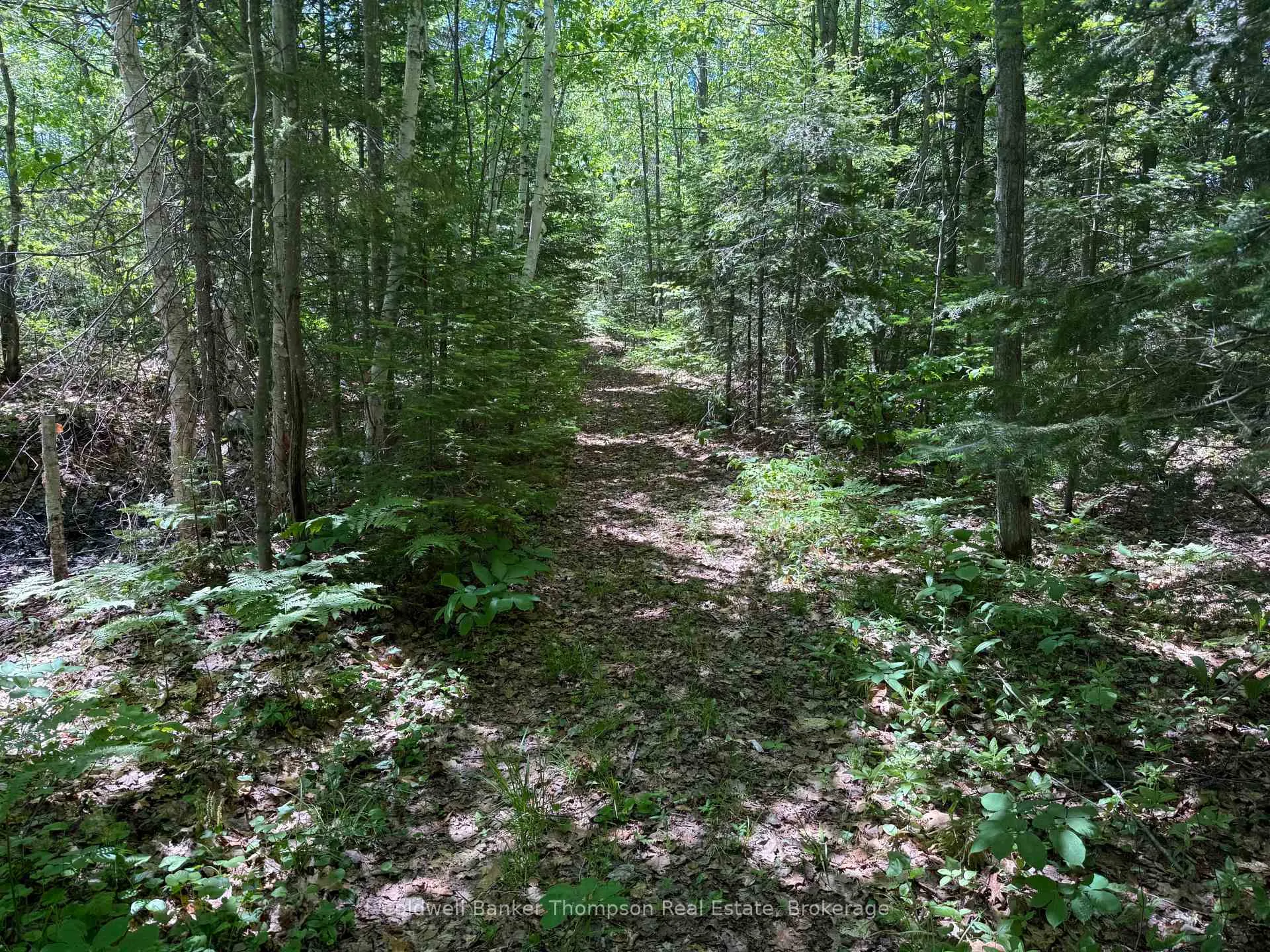 Photo 20 of Beaver Lane, Nipissing — HOMEH