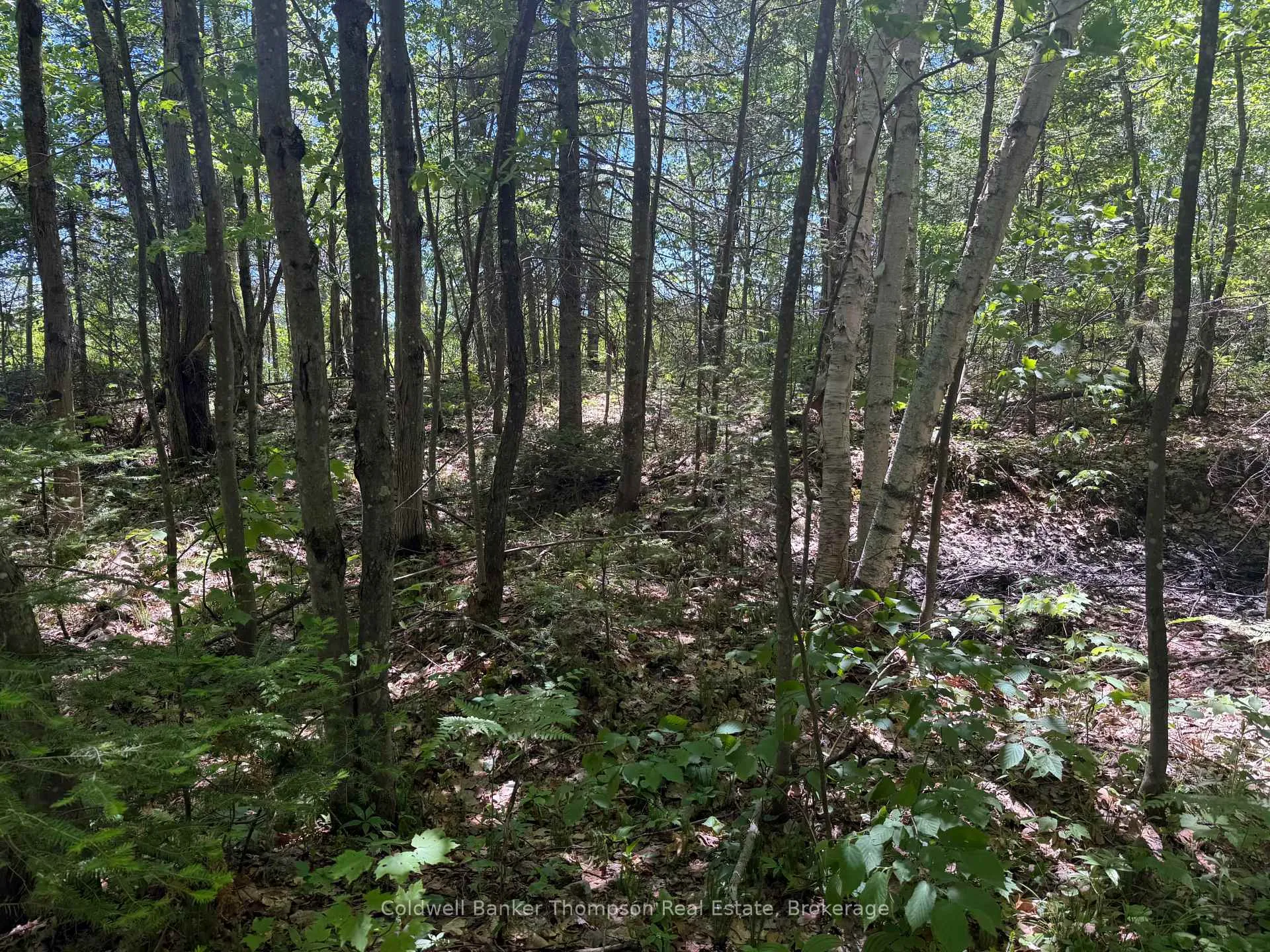 Photo 21 of Beaver Lane, Nipissing — HOMEH