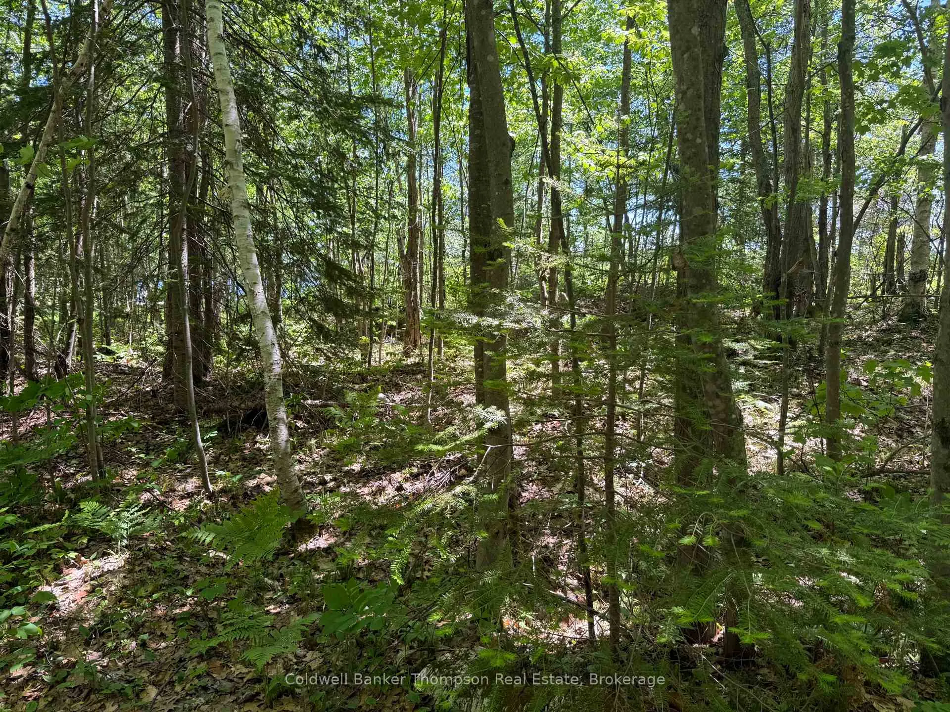 Photo 22 of Beaver Lane, Nipissing — HOMEH