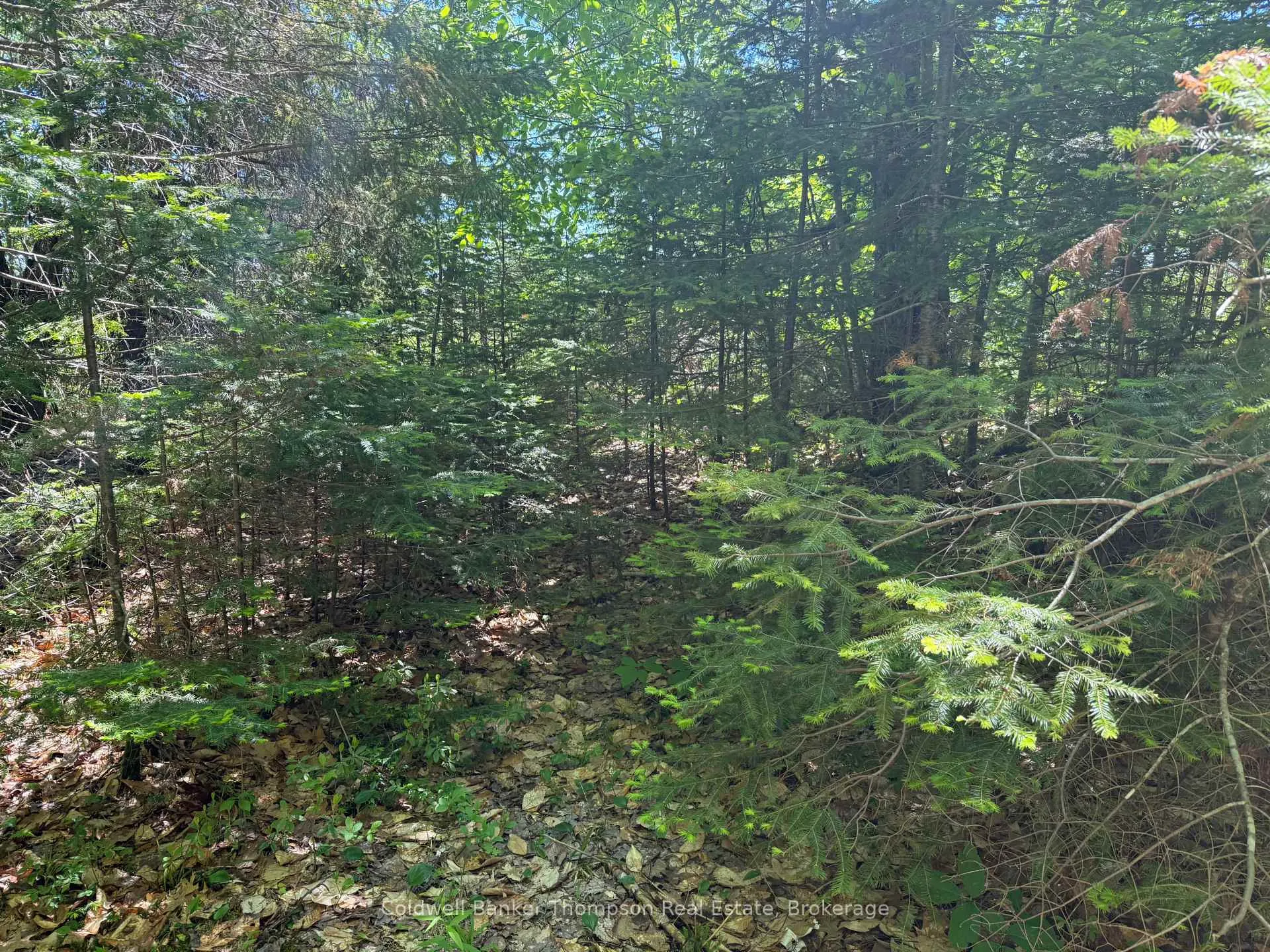 Photo 23 of Beaver Lane, Nipissing — HOMEH