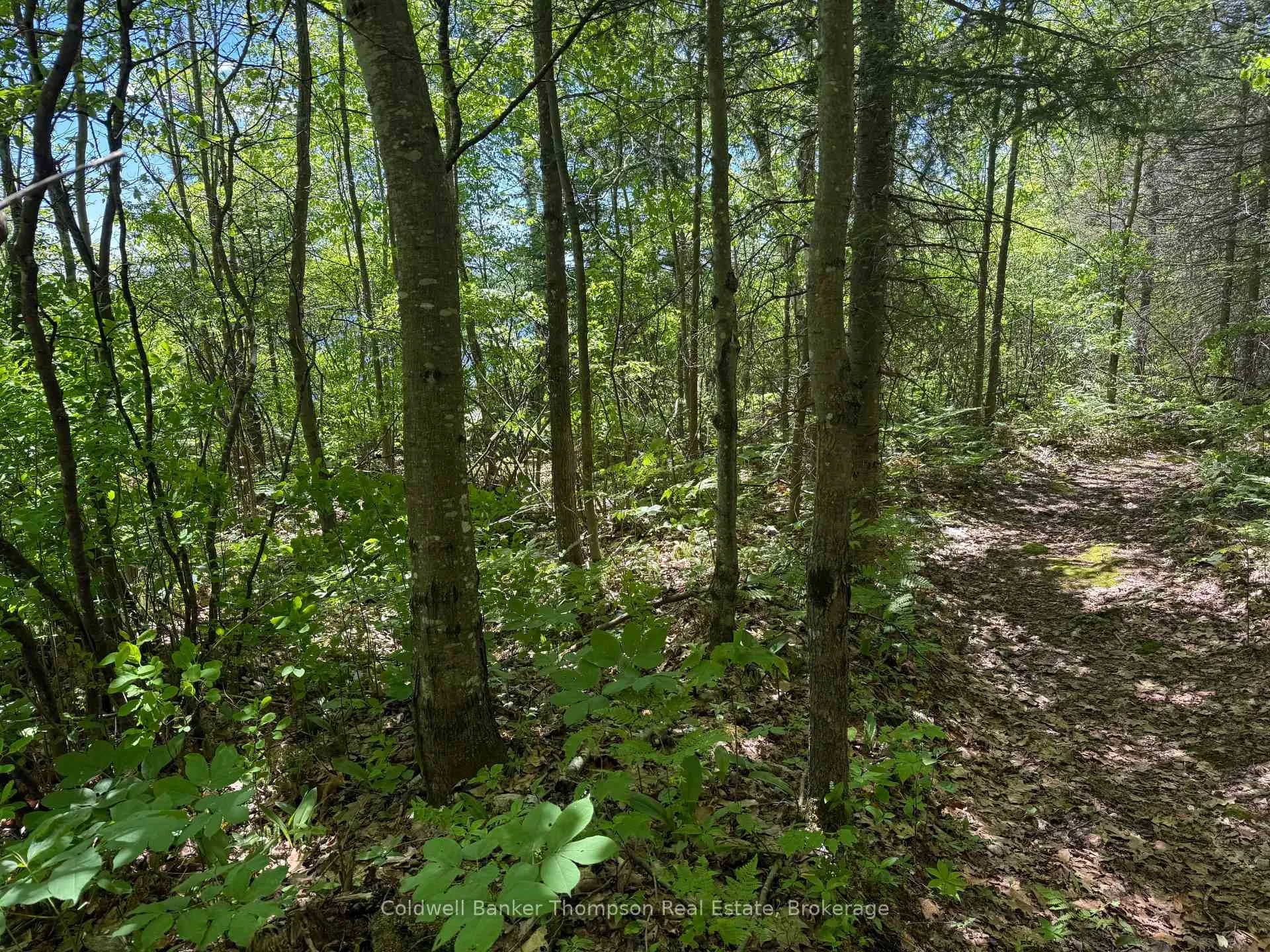 Photo 24 of Beaver Lane, Nipissing — HOMEH