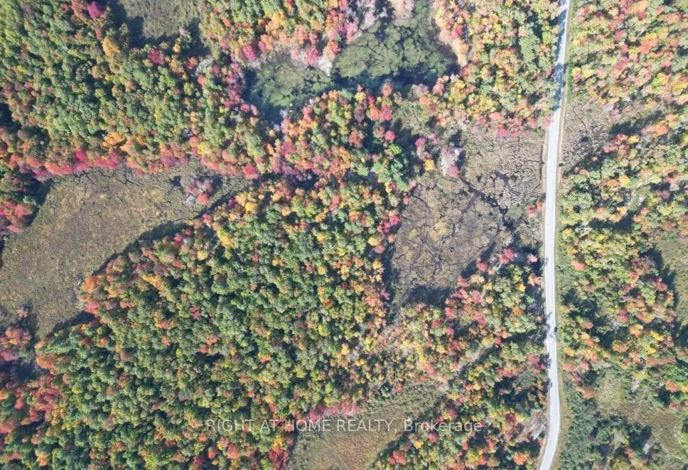 Photo 4 of 1115 Flinton Rd Highway, Tweed, Tweed (Village) — HOMEH