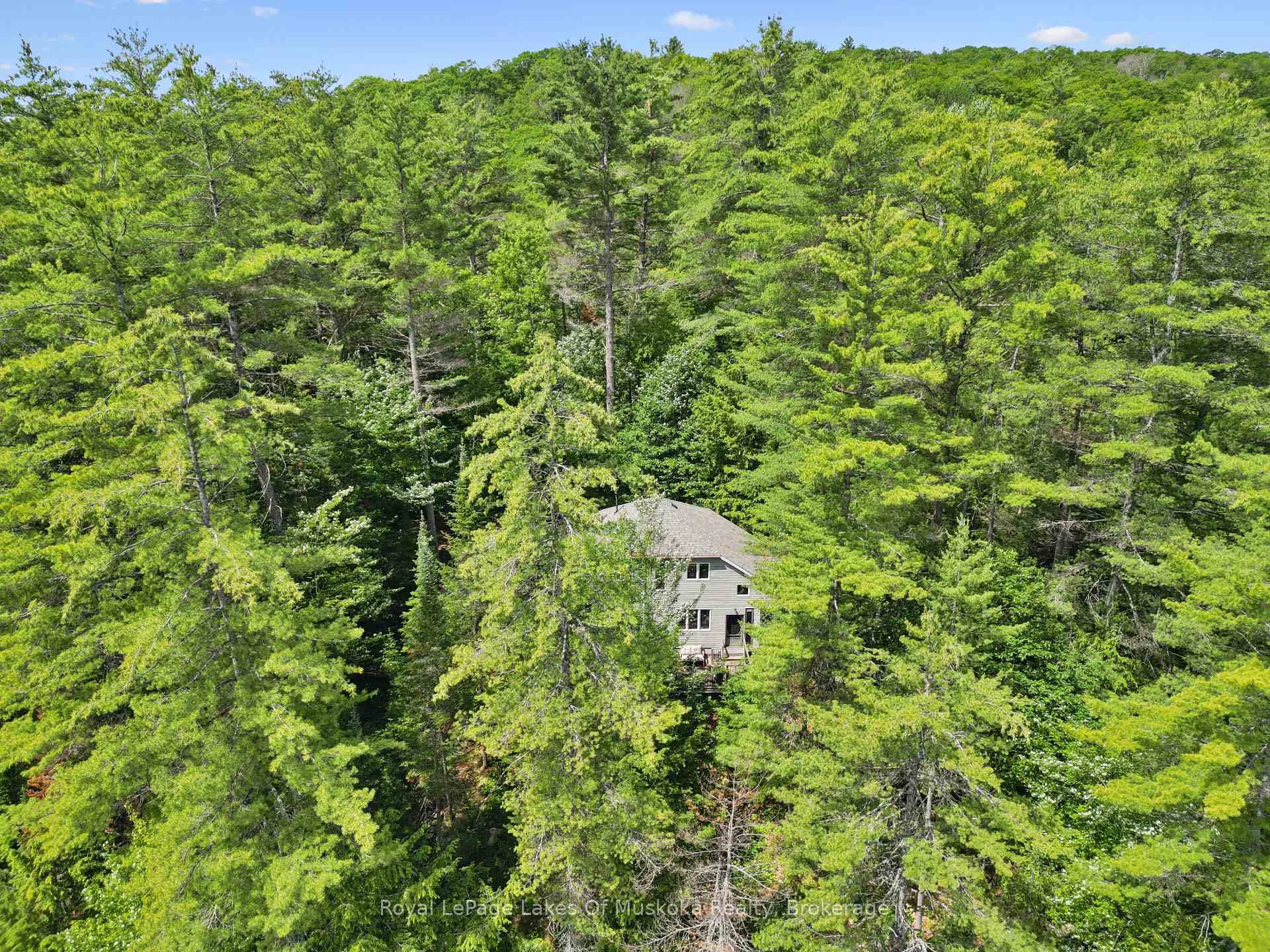 Photo 5 of 1117 Craftsman Drive, Algonquin Highlands, Sherborne — HOMEH