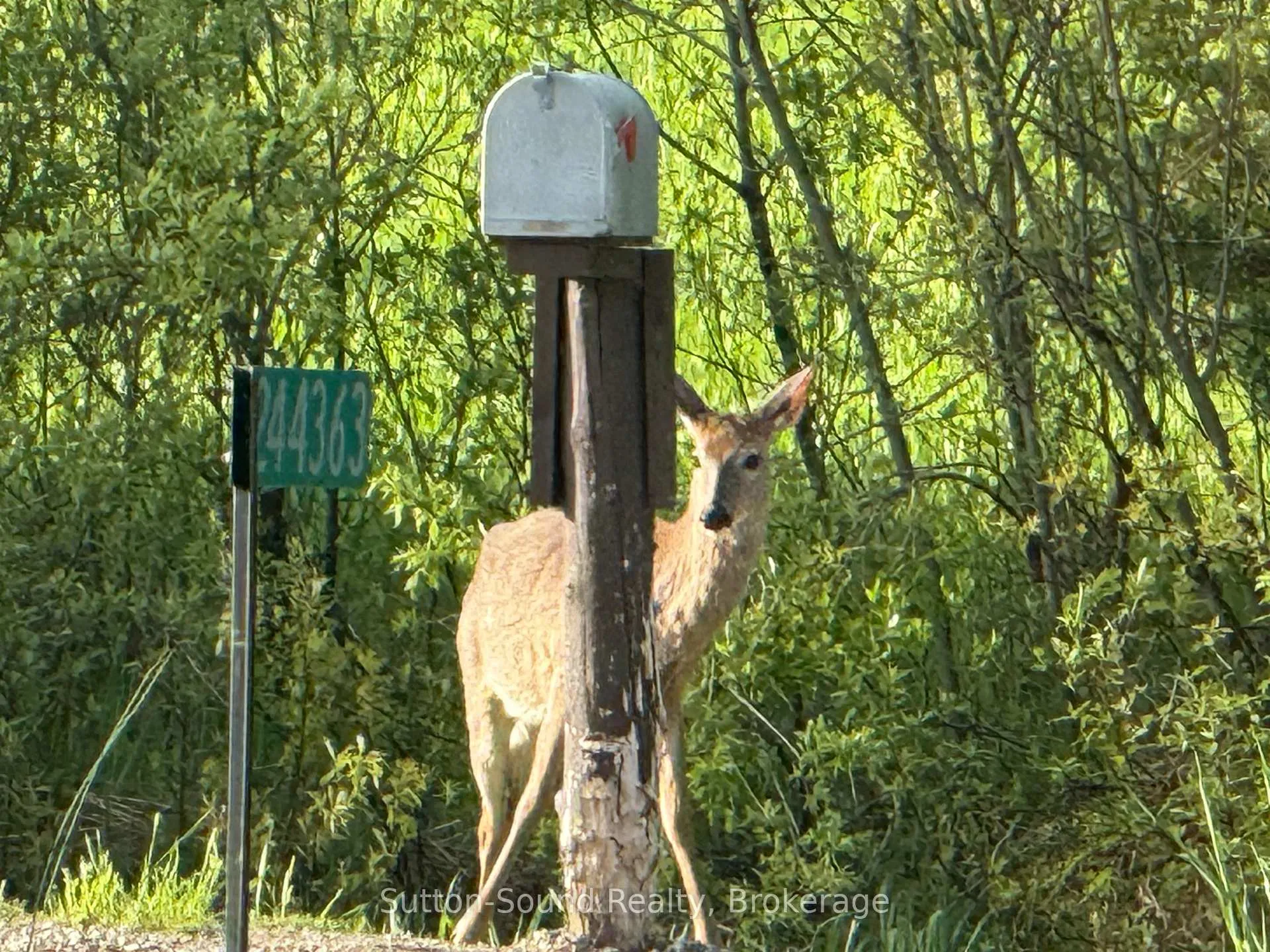 Photo 38 of 244363 22 Side Road, Meaford — HOMEH
