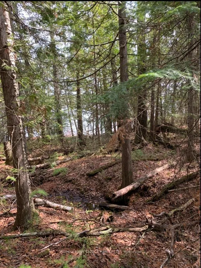 Photo 7 of PCL BLK A-2 Mine Centre, Rainy River Remote Area — HOMEH