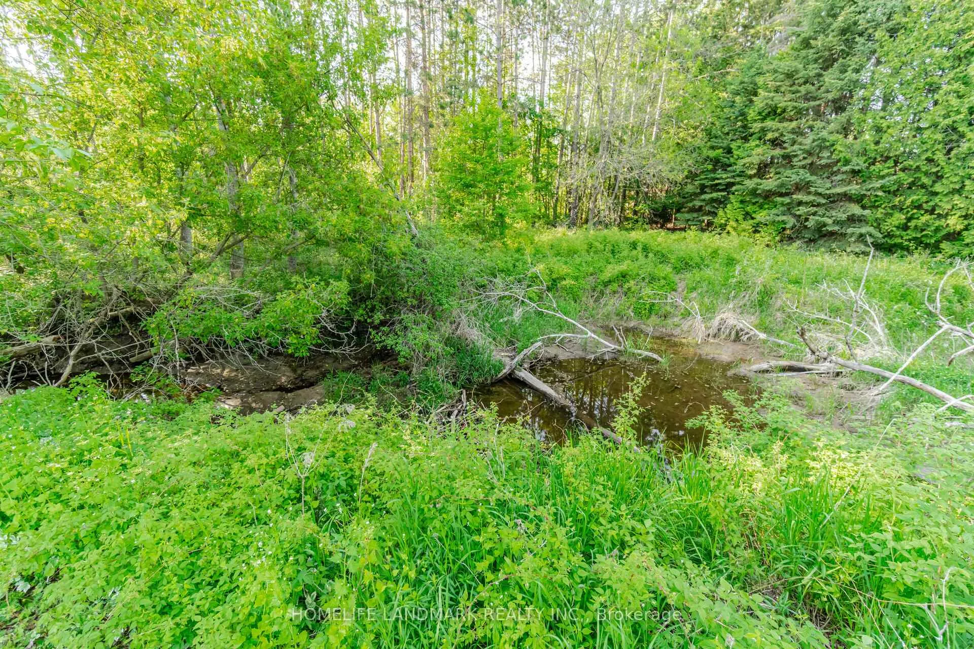 Photo 21 of 4754 County Rd 90, Springwater, Rural Springwater — HOMEH