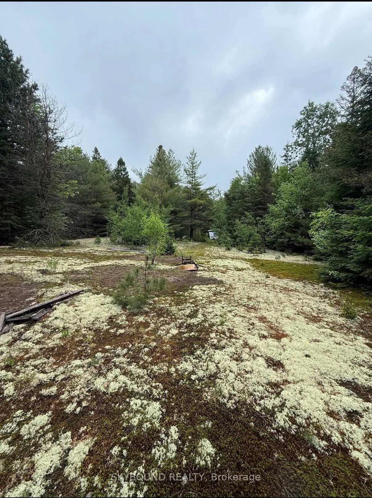 Photo 1 of 92 McAlpine Road, Hastings Highlands, Monteagle Ward — HOMEH