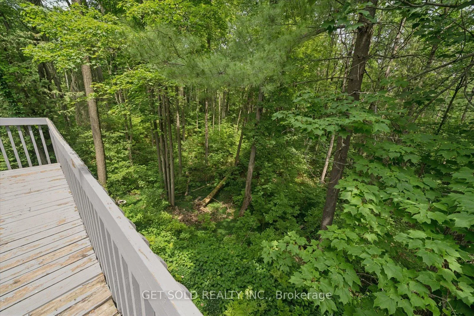 Photo 11 of 80 White Pine Trail, Richmond Hill, Rural Richmond Hill — HOMEH