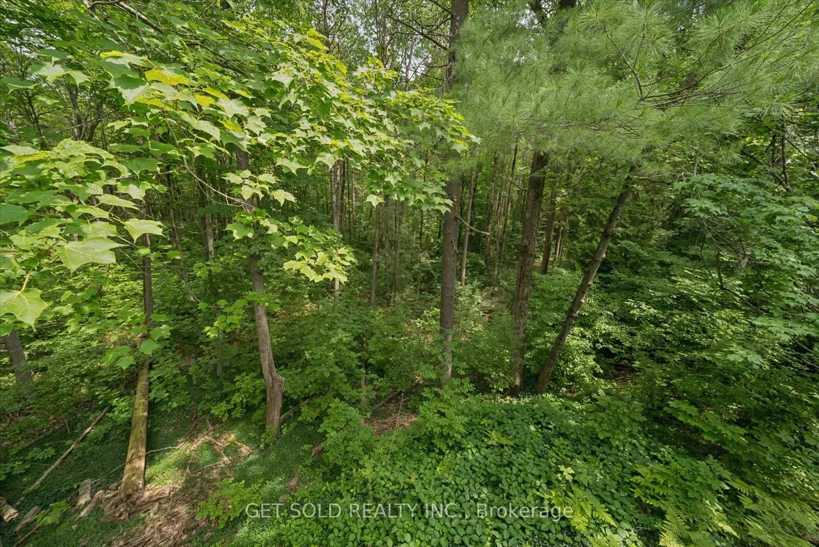 Photo 15 of 80 White Pine Trail, Richmond Hill, Rural Richmond Hill — HOMEH