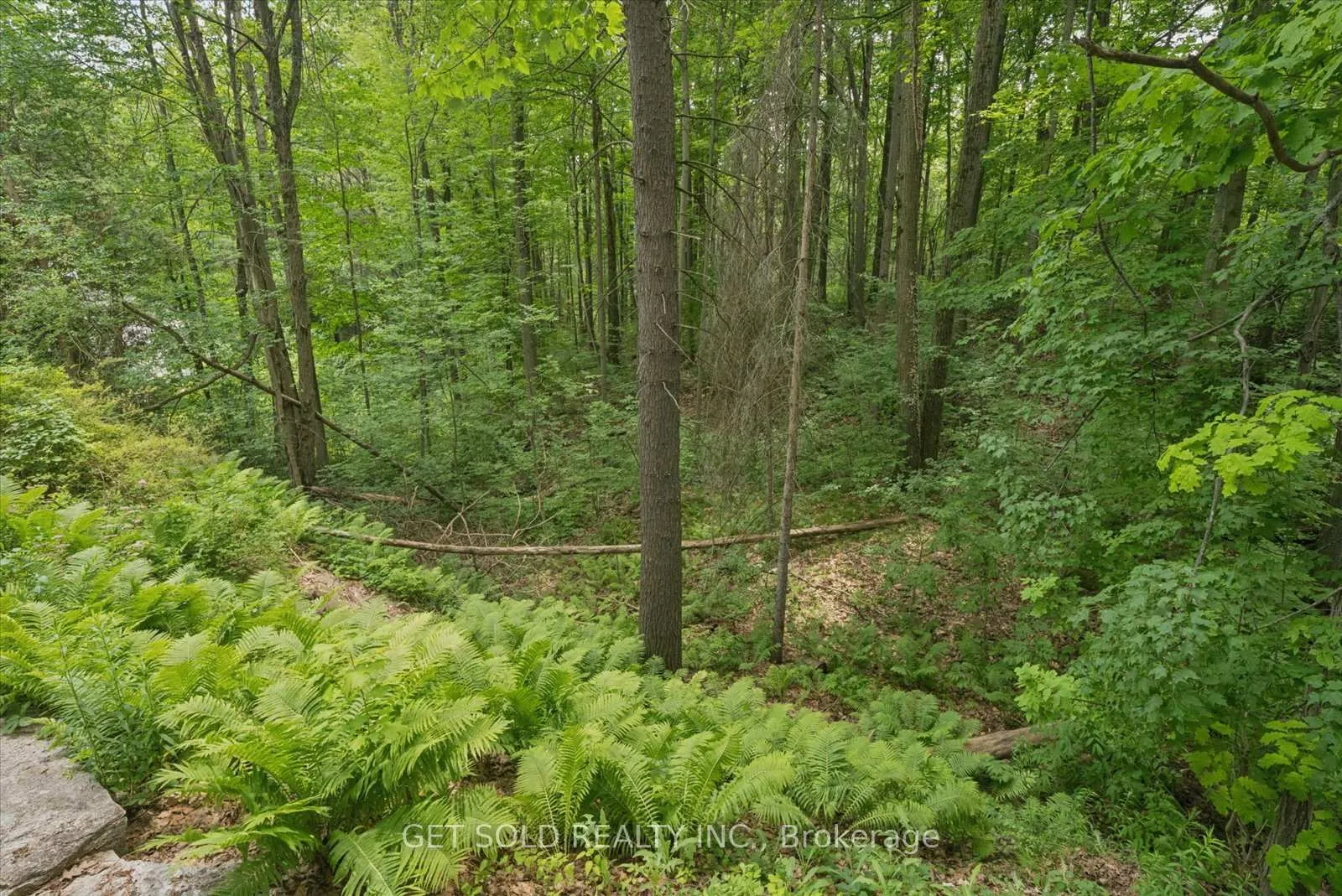 Photo 16 of 80 White Pine Trail, Richmond Hill, Rural Richmond Hill — HOMEH