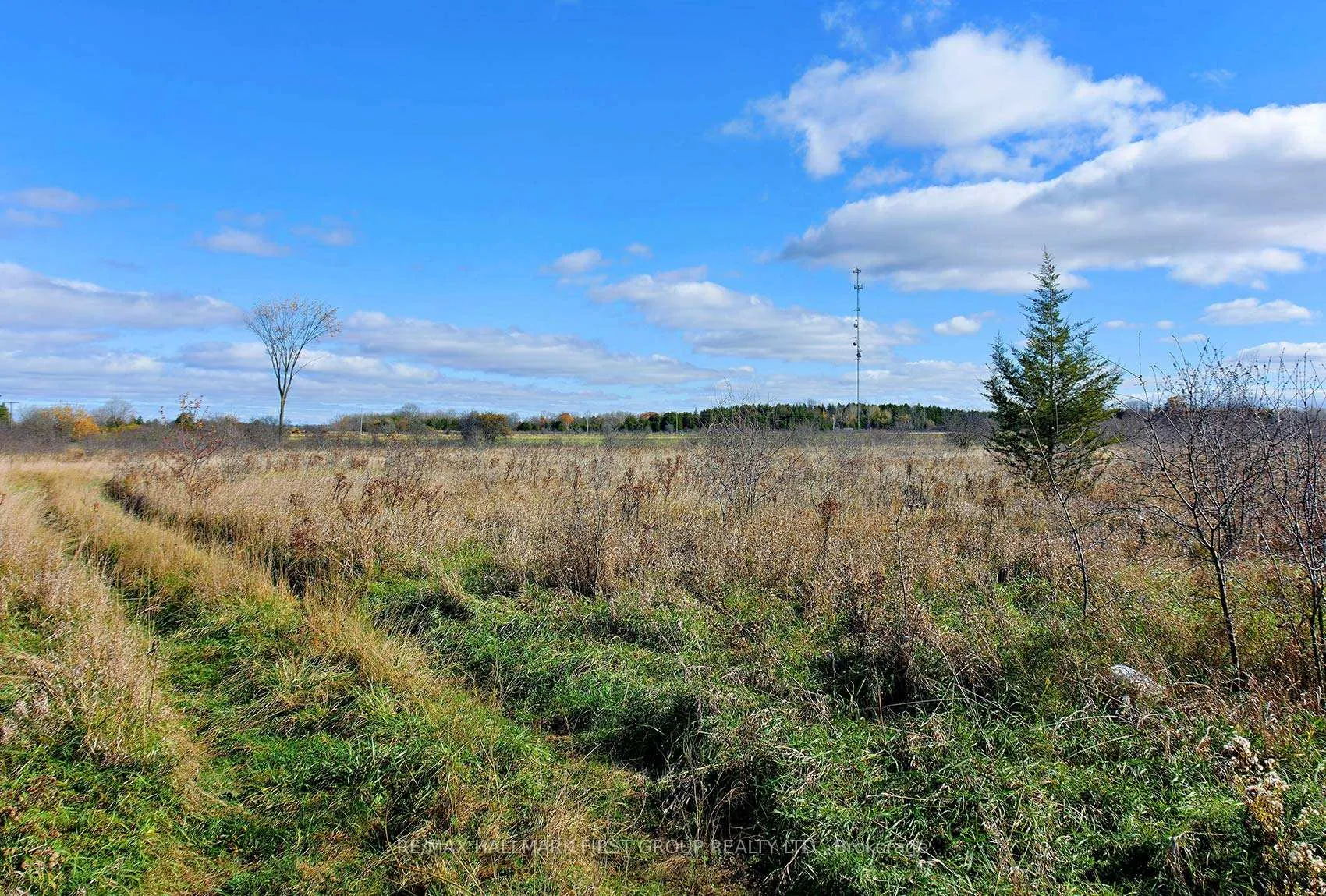 Photo 12 of 5 Concession Road, Brock, Rural Brock — HOMEH