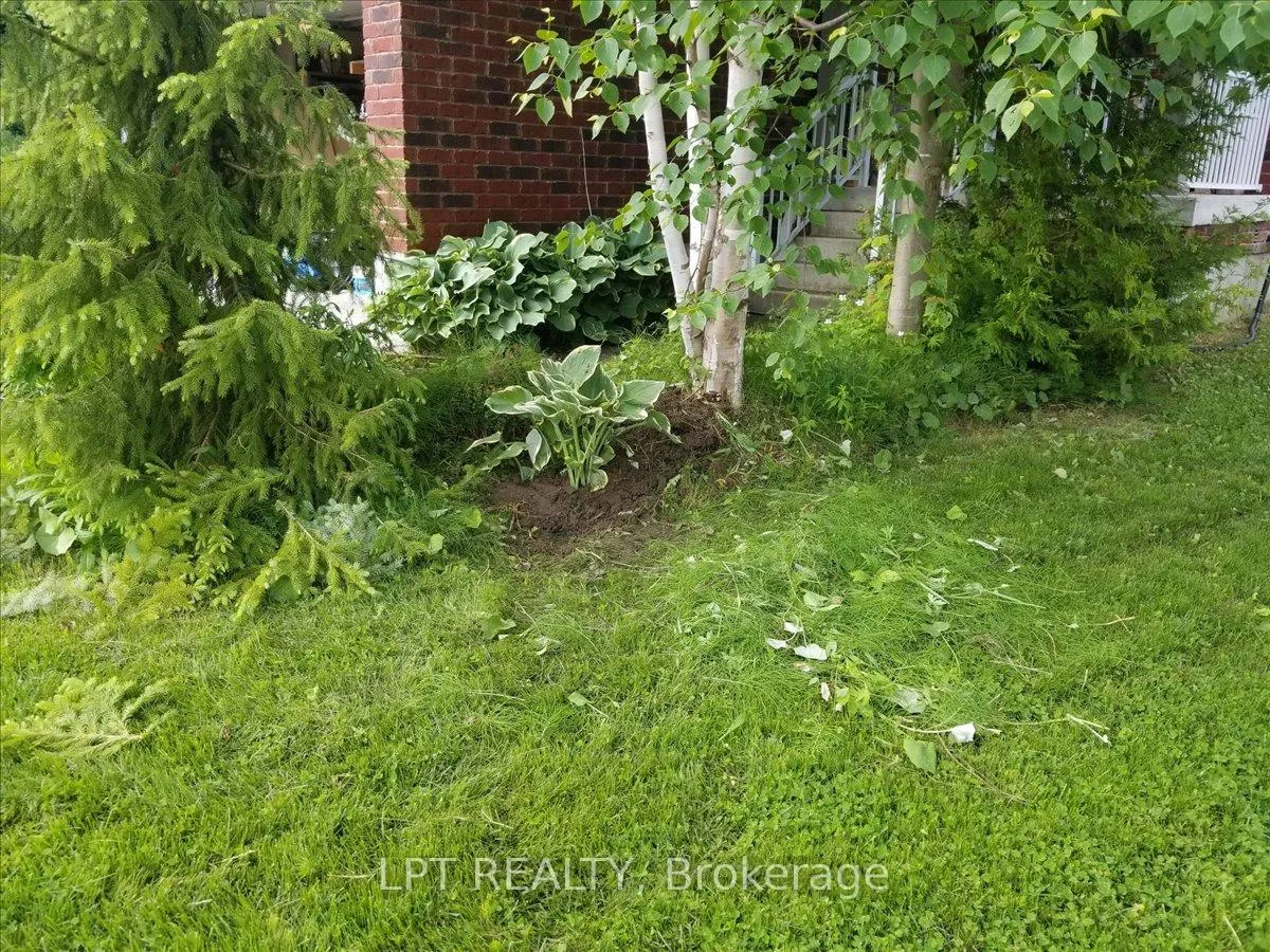 Photo 44 of 62 Williams Street, Collingwood — HOMEH