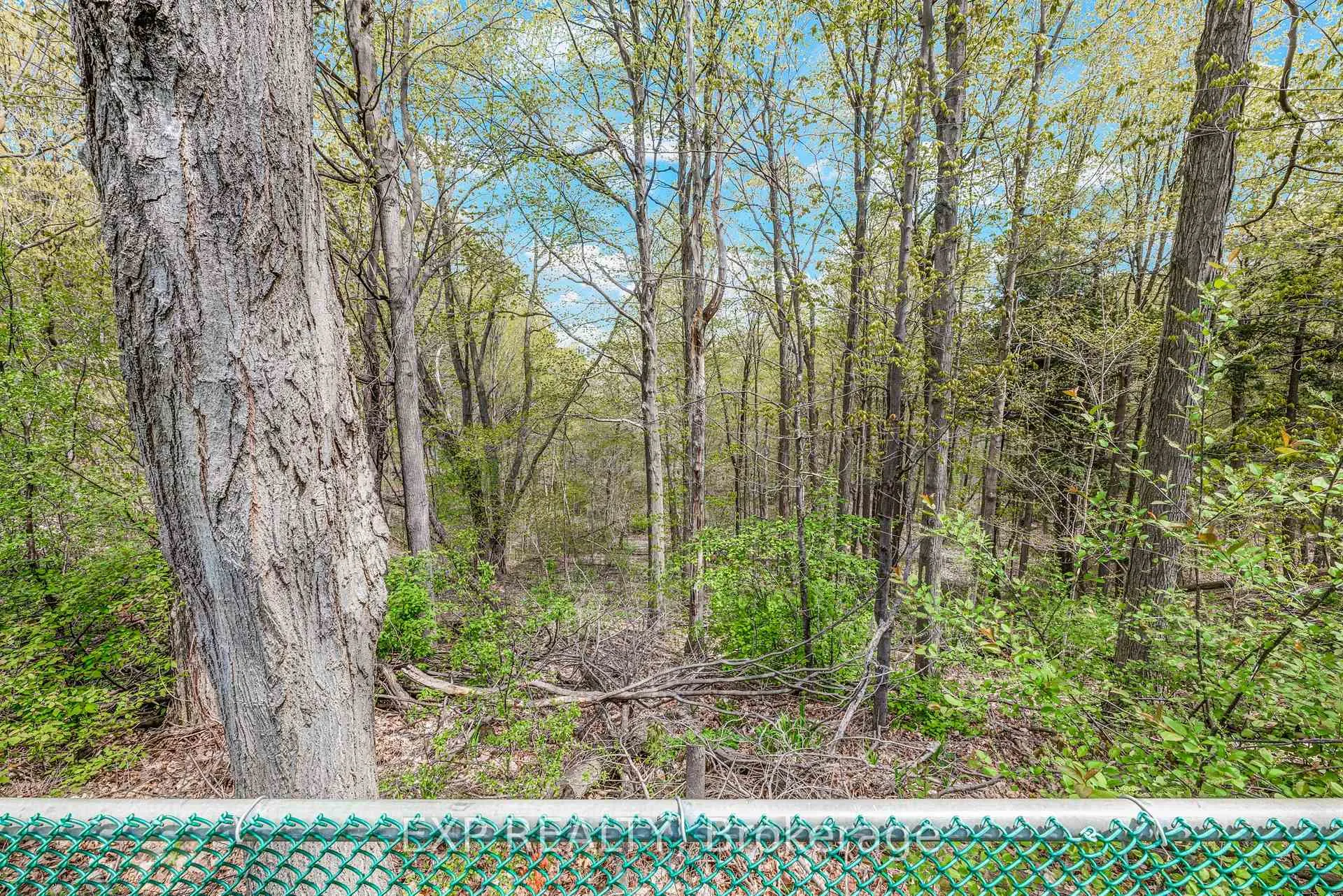 Photo 44 of 43 Abraham Avenue, Markham, Aileen-Willowbrook — HOMEH