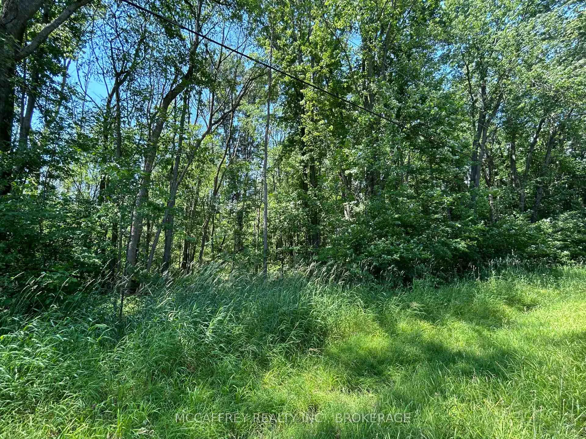 Photo 6 of 358 Townline Road, Greater Napanee, Greater Napanee — HOMEH