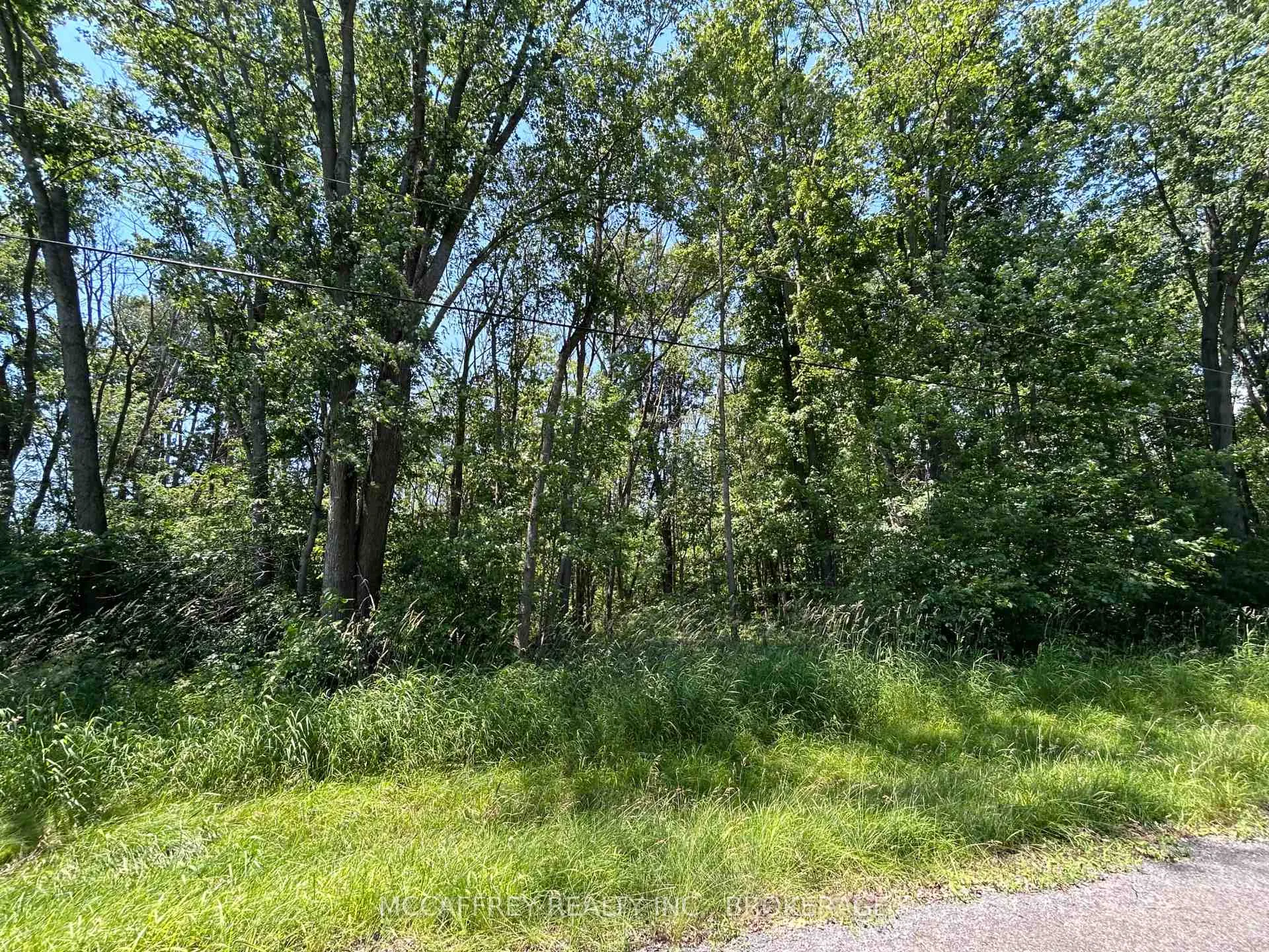 Photo 7 of 358 Townline Road, Greater Napanee, Greater Napanee — HOMEH