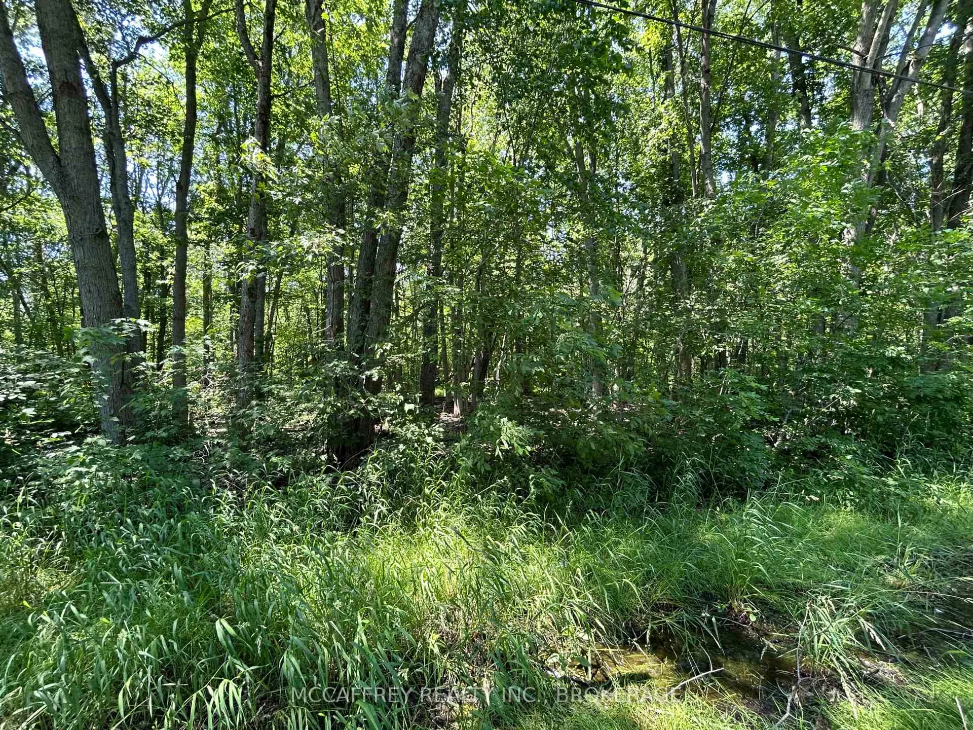 Photo 8 of 358 Townline Road, Greater Napanee, Greater Napanee — HOMEH