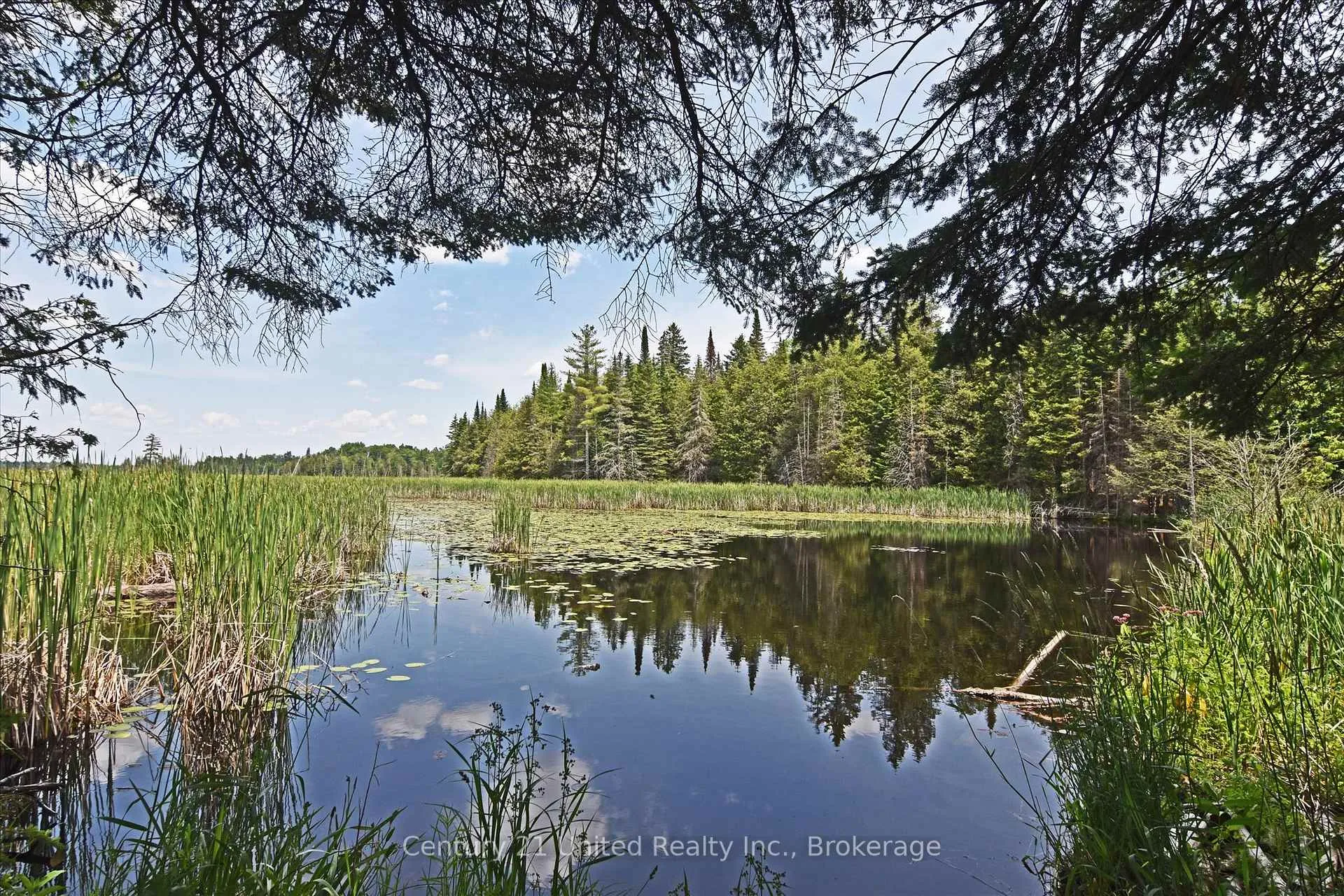 Photo 15 of 707 S Dummer 8th Line Road, Douro-Dummer — HOMEH