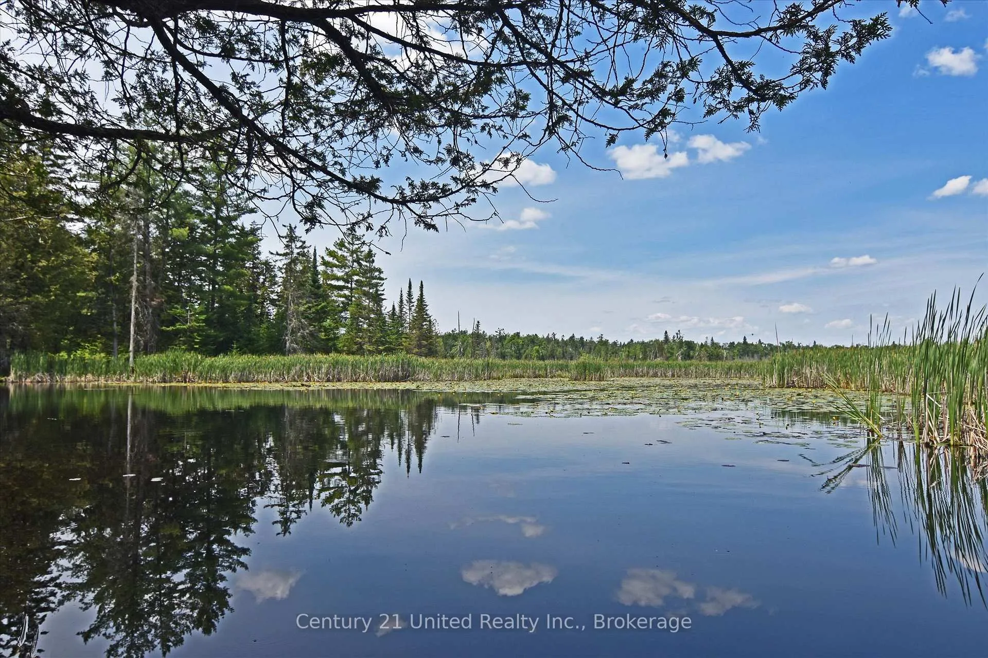 Photo 18 of 707 S Dummer 8th Line Road, Douro-Dummer — HOMEH