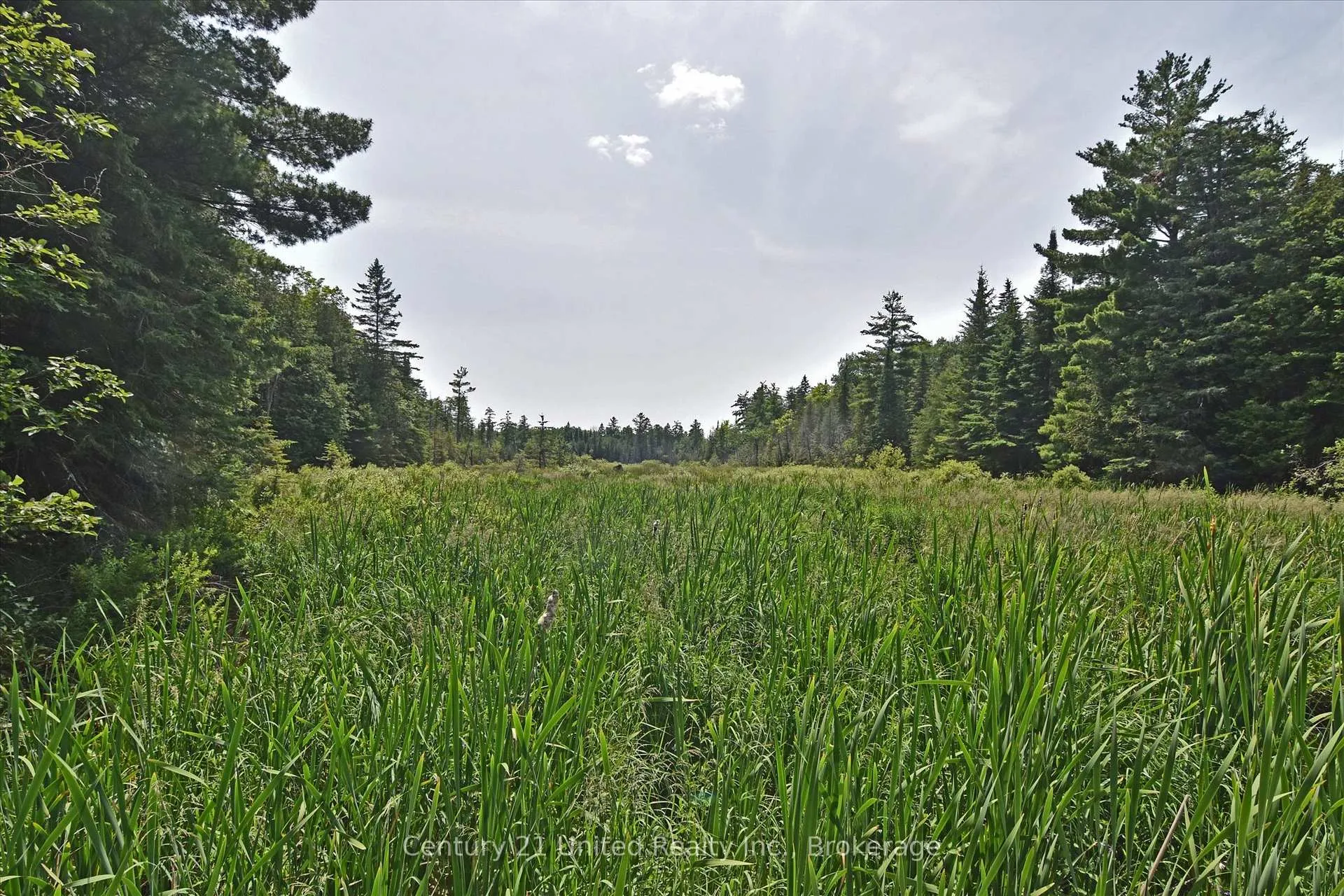 Photo 19 of 707 S Dummer 8th Line Road, Douro-Dummer — HOMEH