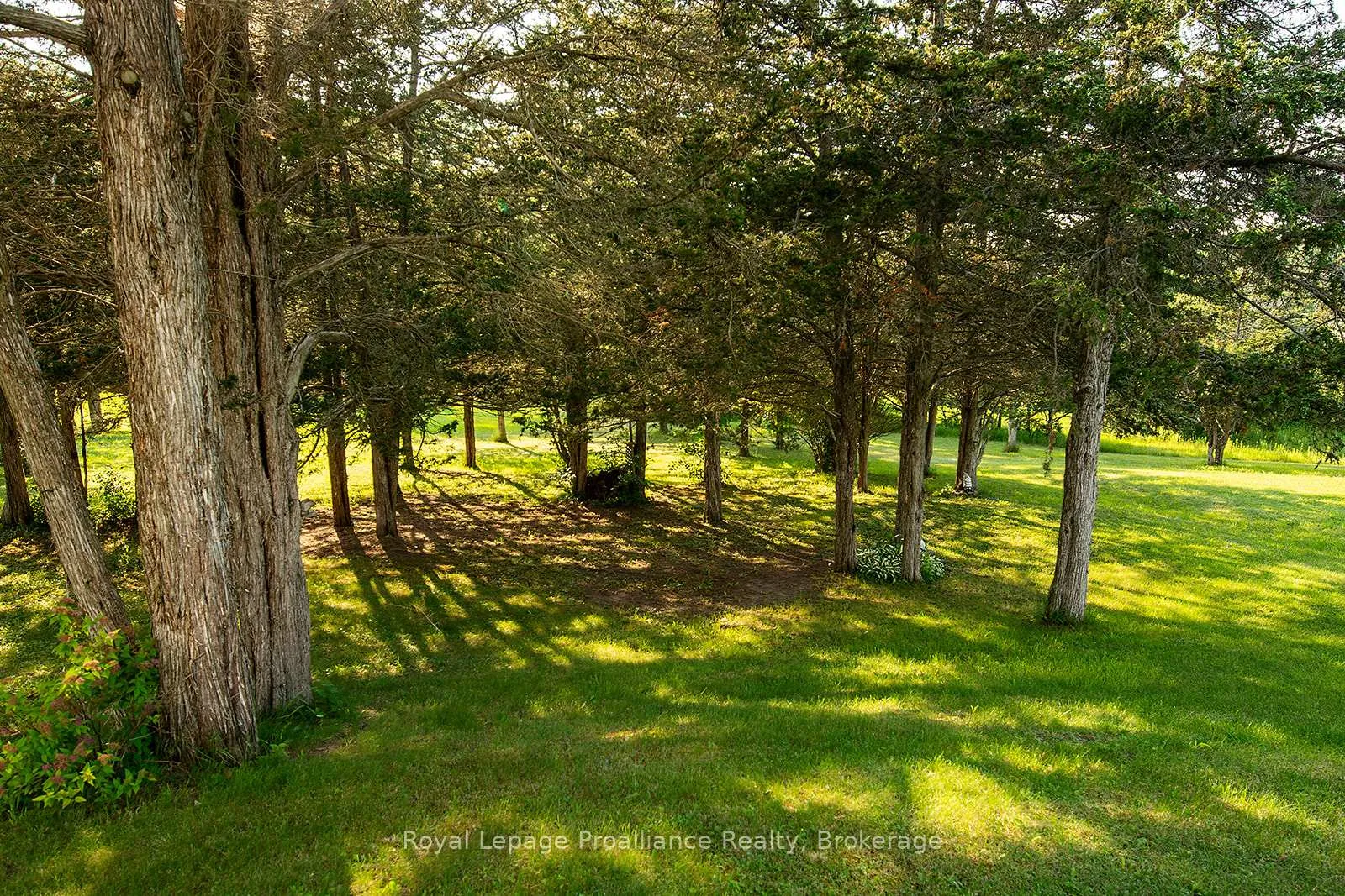 Photo 37 of 61 Sills Road, Belleville, Thurlow Ward — HOMEH